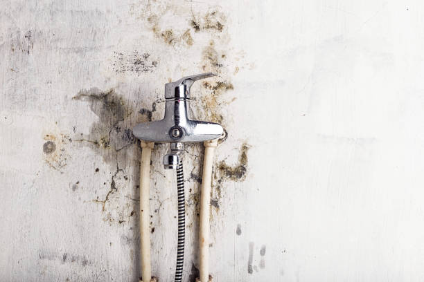Best Mold Remediation for Schools in Burlingame, CA
